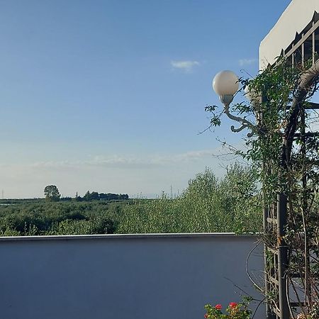 La Villa Del Conte 바를레타 외부 사진