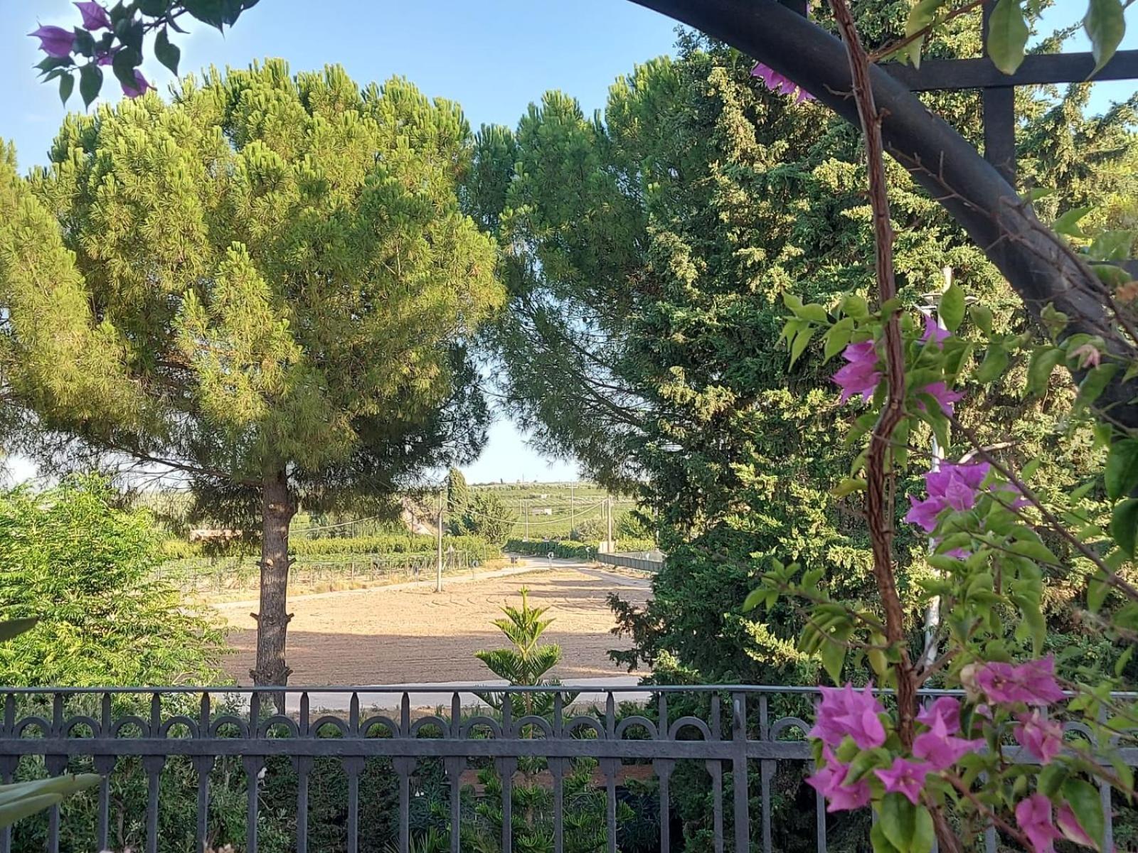 La Villa Del Conte 바를레타 외부 사진