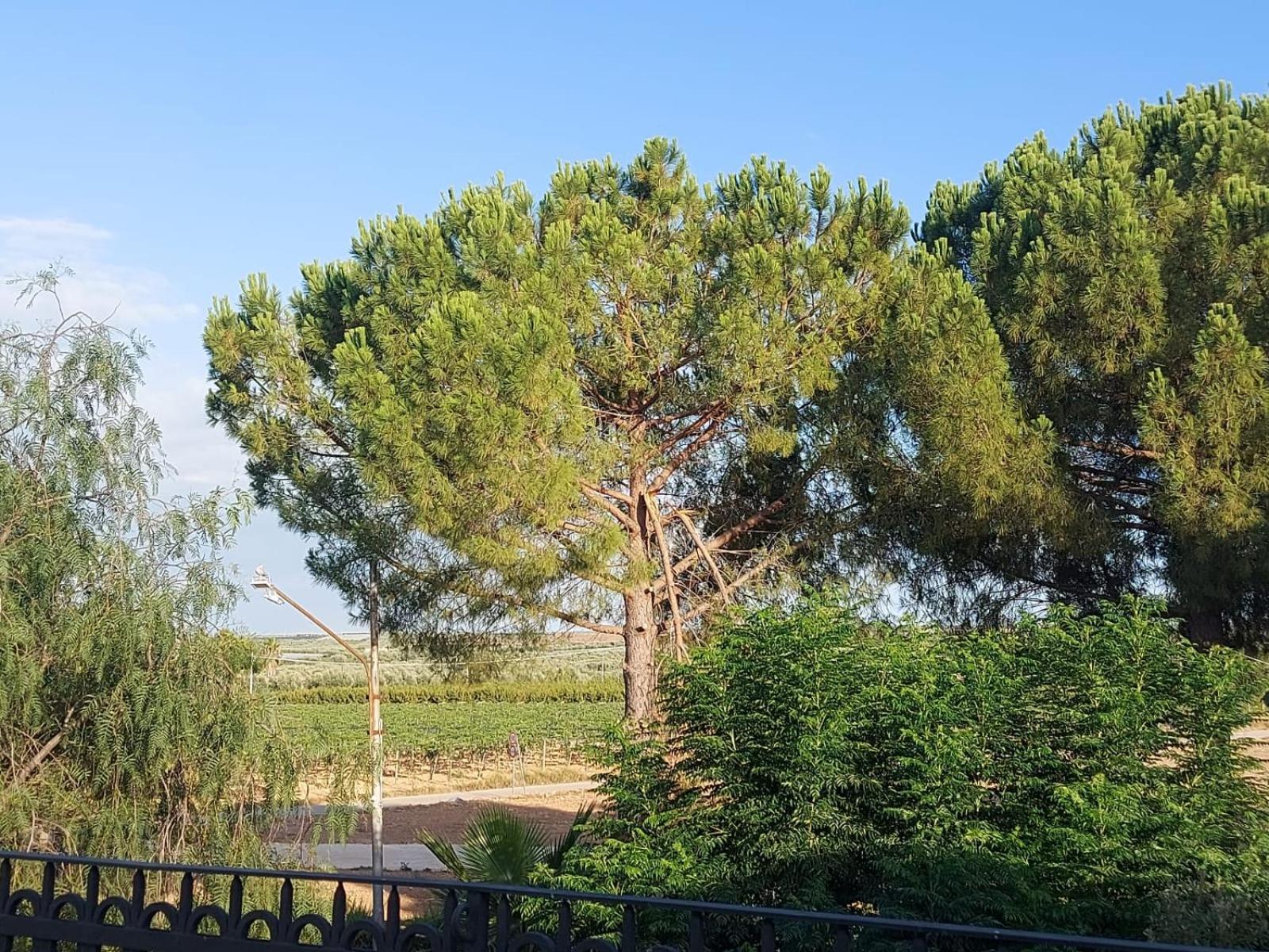 La Villa Del Conte 바를레타 외부 사진
