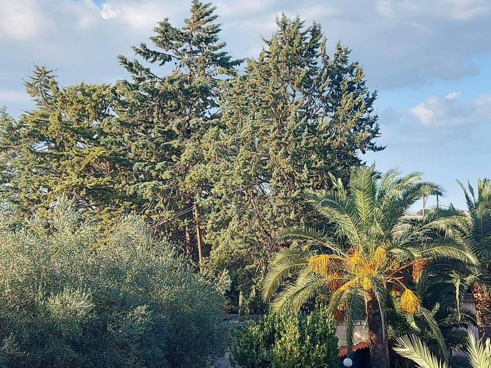 La Villa Del Conte 바를레타 외부 사진